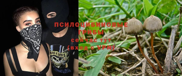 бошки Аксай