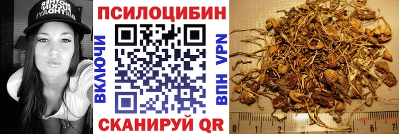 omg ССЫЛКА  Обнинск  Псилоцибиновые грибы ЛСД 